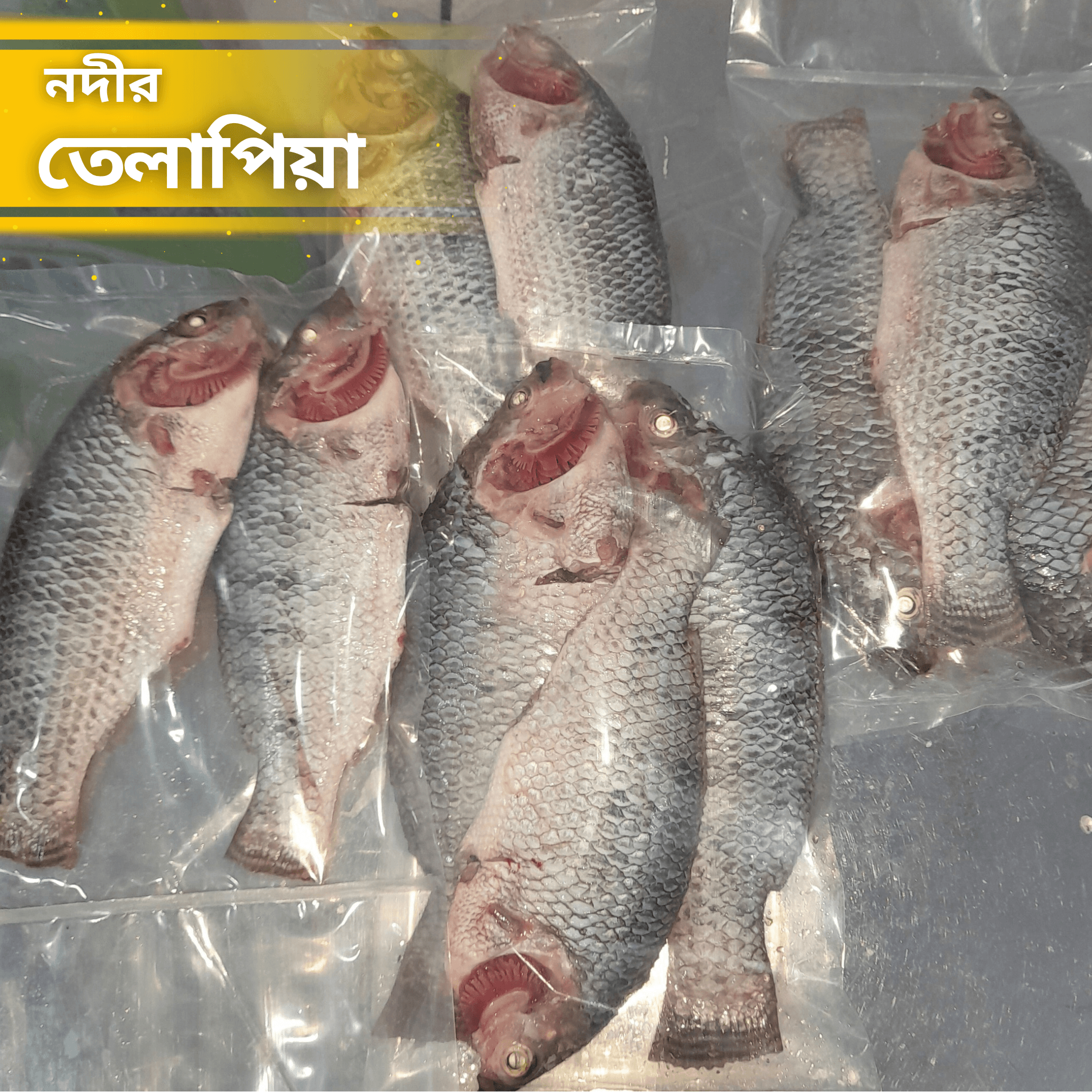 Talapia Fish Clean & Dressed - (Size:3-4pcs kg. Net Weight: 1kg. (তেলাপিয়া মাছ)
