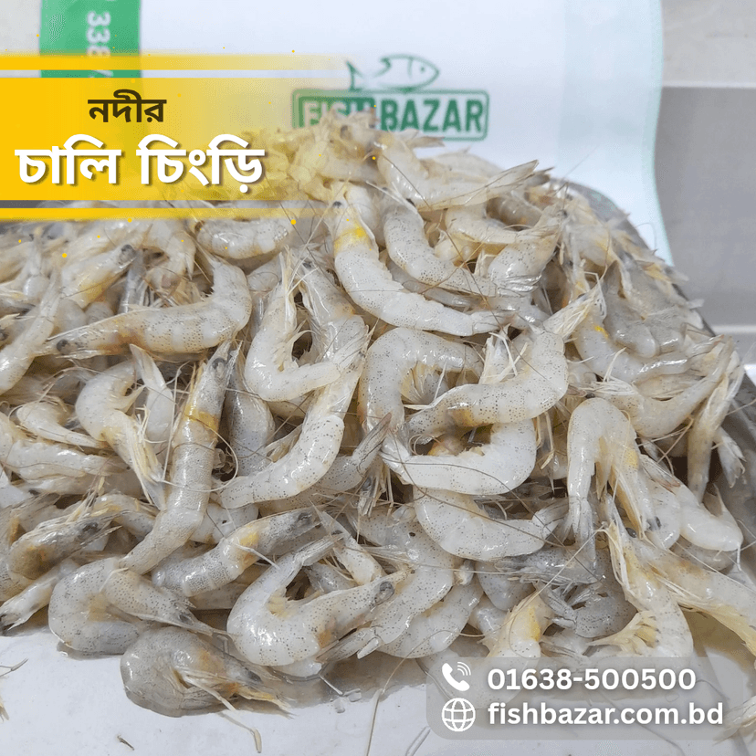 Chali Shrimp (whole) - চালি চিংড়ি (৫০০গ্রাম)